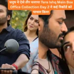 Tere Ishq Mein Box Office Collection Day 2
